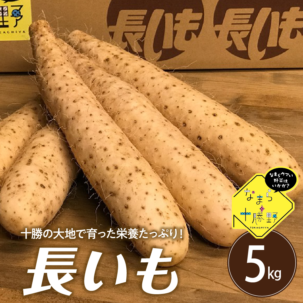 【12月中旬以降発送】北海道十勝芽室町 なまら十勝野の長いも ５kg me001-010r