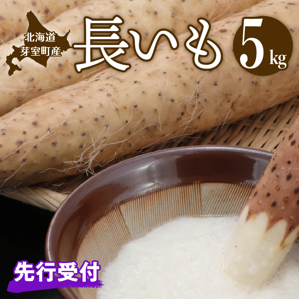 【2025年11月より配送】愛菜屋の「長いも」5kg