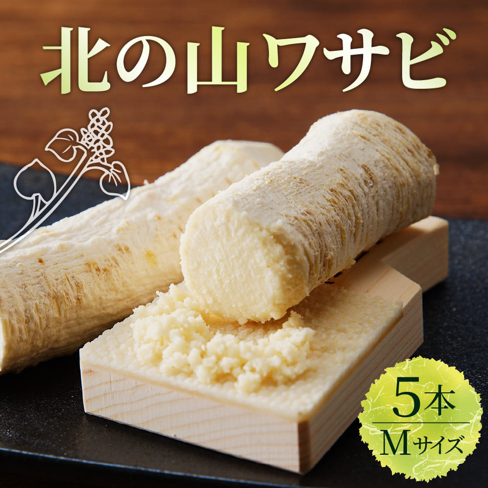 北海道十勝芽室町 北の山ワサビ（根茎）Mサイズ1本入×5パック me011-003r