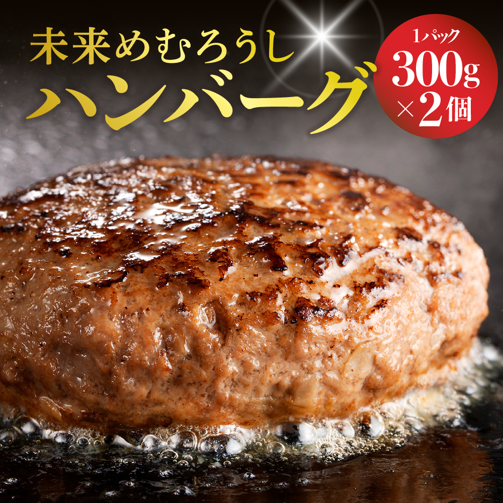 北海道十勝芽室町 未来めむろうし100％ハンバーグ　300g×2パック me067-001r