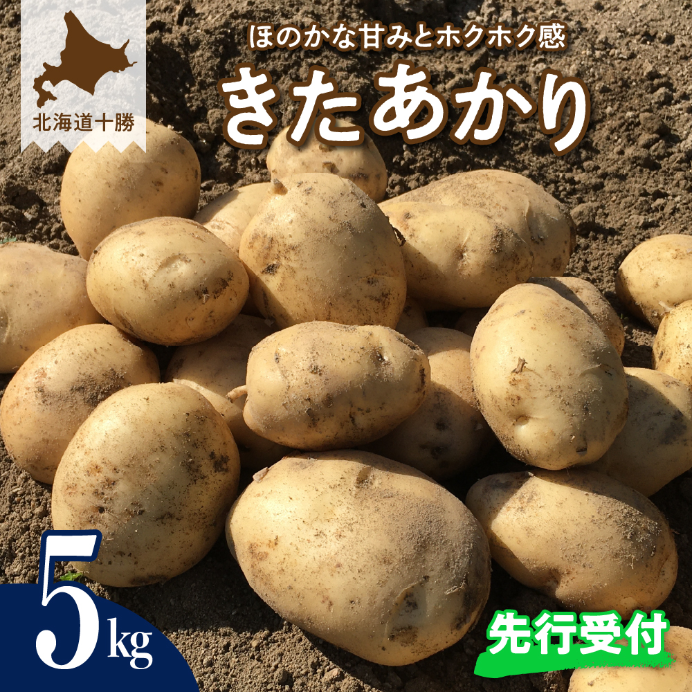 【2025年9月下旬より配送】愛菜屋のじゃがいも「きたあかり」5kg