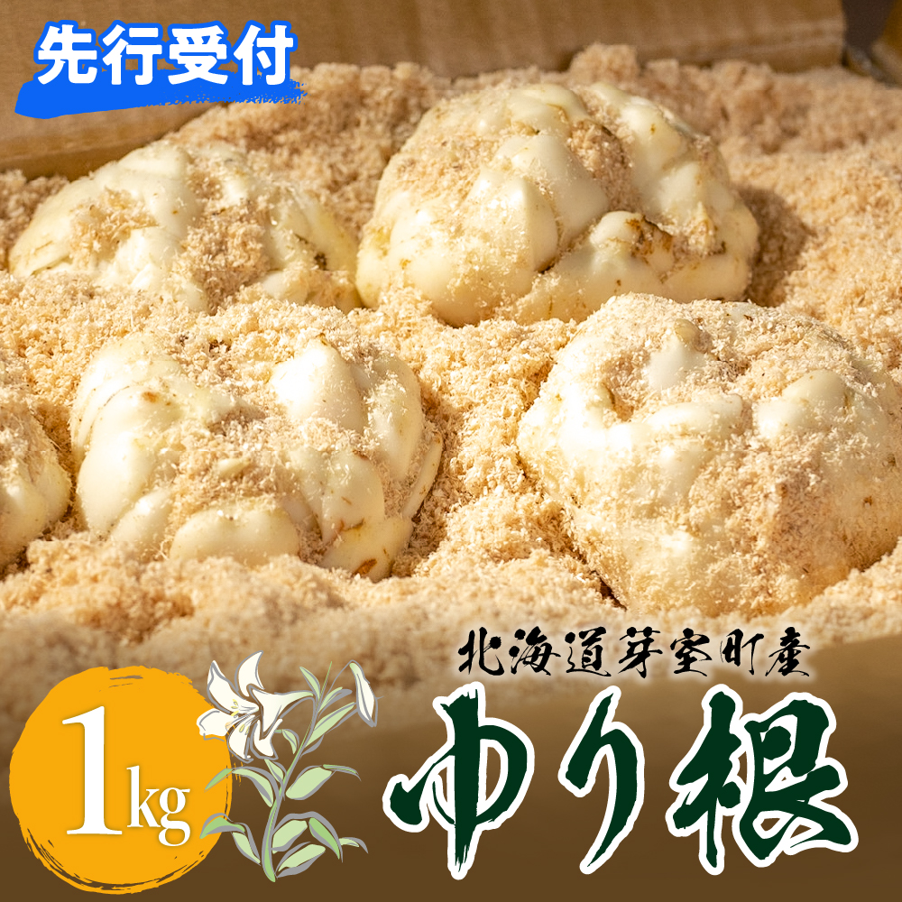 【2025年産】北海道十勝芽室町 ゆり根 1kg（Lサイズ９玉入り1kg×1箱） me010-001r-24