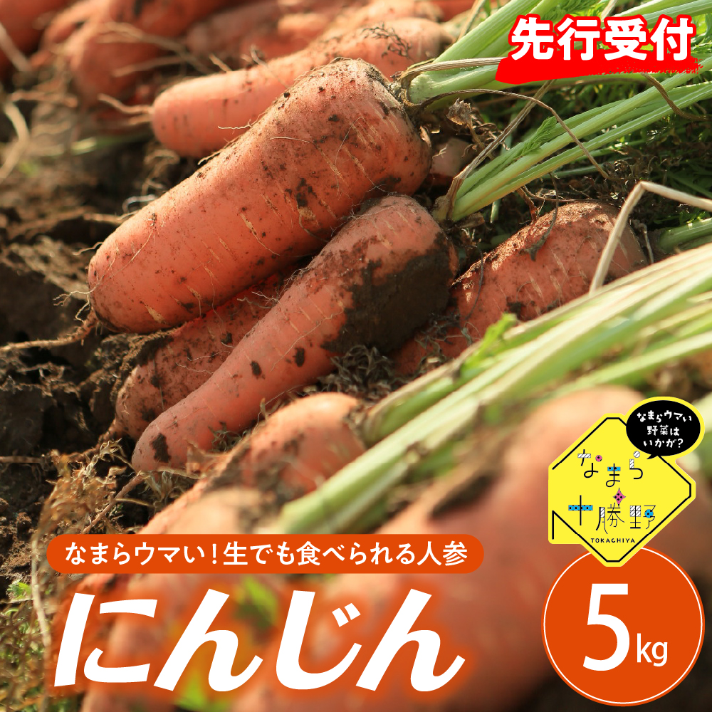 【10月上旬より発送】北海道十勝芽室町 なまら十勝野 芽室町産にんじん５㎏ me001-030r