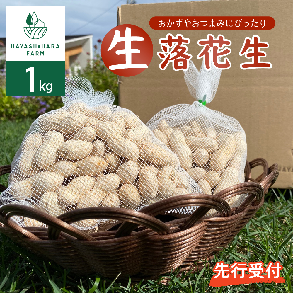 【2025年9月より出荷】 生落花生 茹で用 郷の香 1kg me028-003r-25