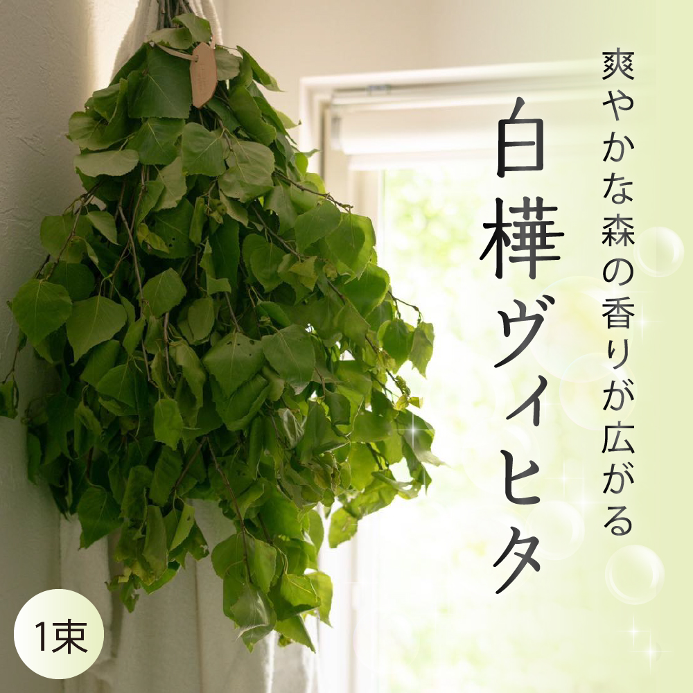 【先行予約】北海道芽室町産「白樺ヴィヒタ」１束me055-001r-3