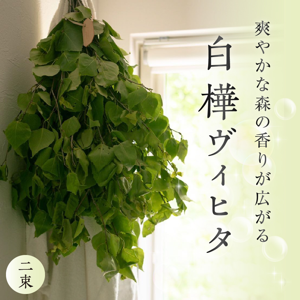 【先行予約】北海道芽室町産「白樺ヴィヒタ」２束me055-002r-3