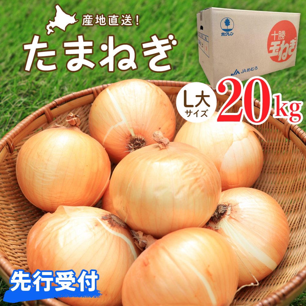 【2025年産 先行予約】北海道十勝めむろ産　たまねぎ L大サイズ 20kg me010-011r-25