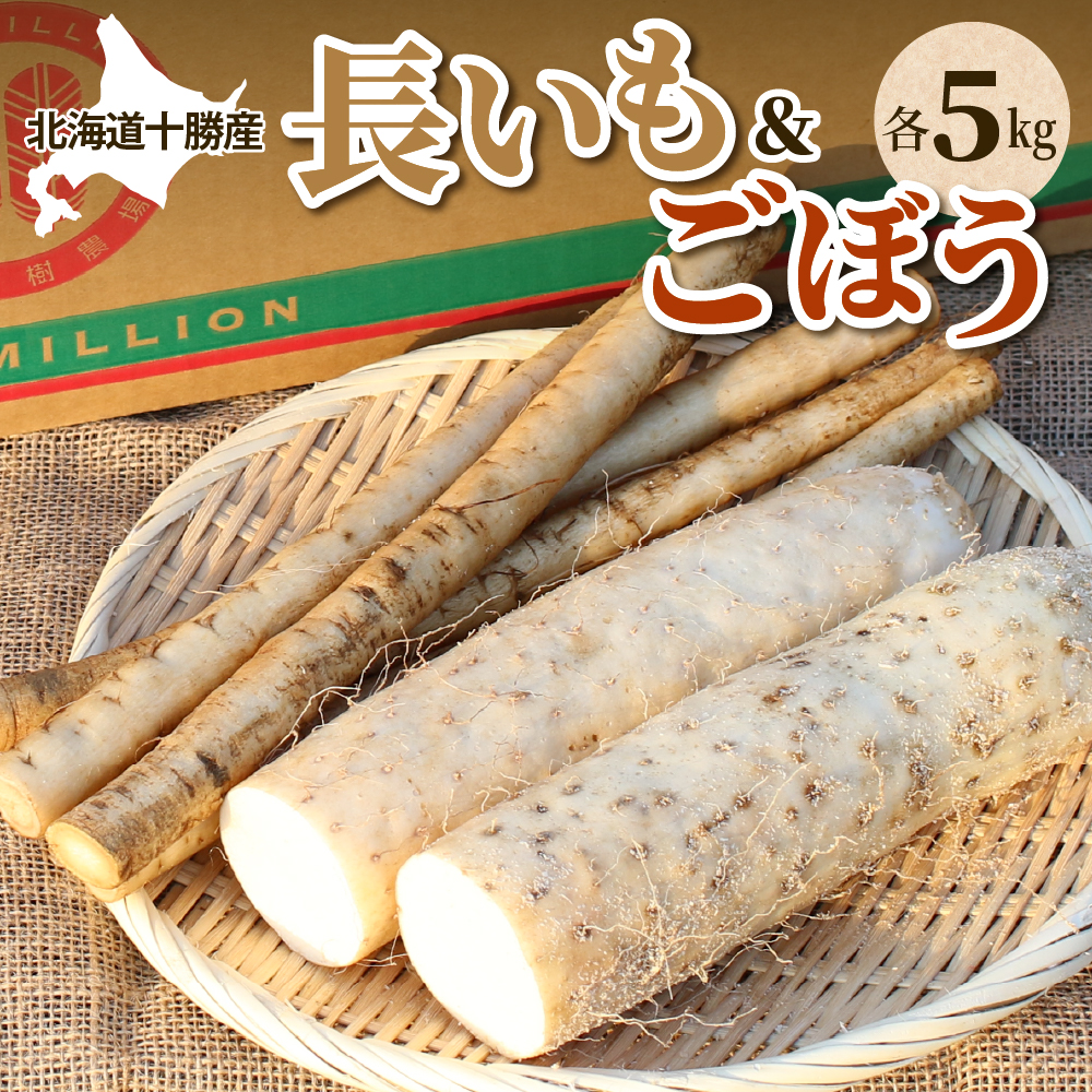 北海道十勝芽室町 贅沢根菜セット（長芋・ごぼう・山わさび） me016-015r