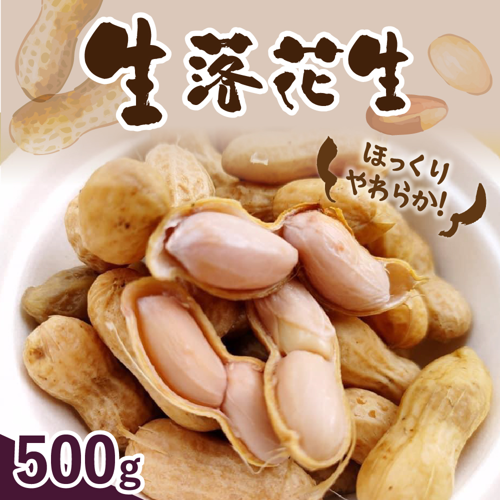 【8月より順次発送】北海道十勝芽室町 生落花生（洗い）500g me010-016r