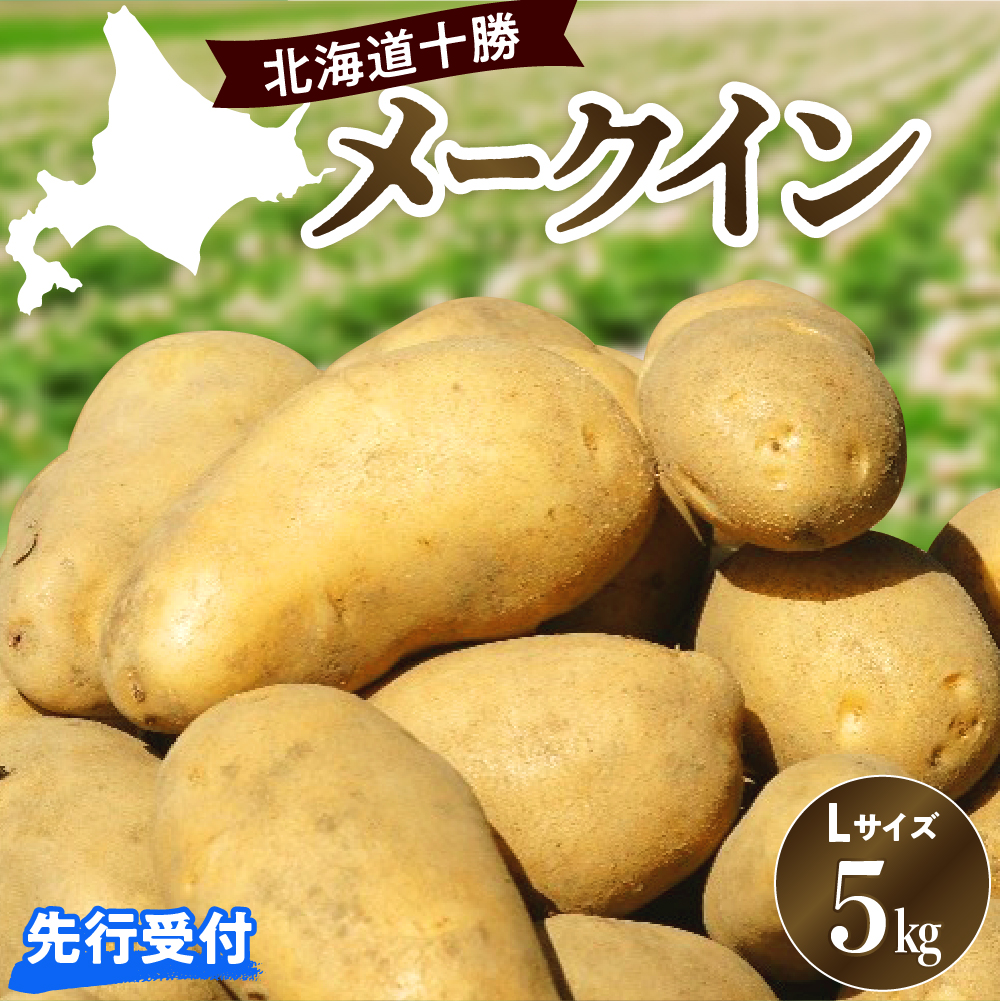 【先行予約】【2025年10月出荷分】十勝めむろ産「めむろメークイン」Ｌサイズ5kg me010-019r-25