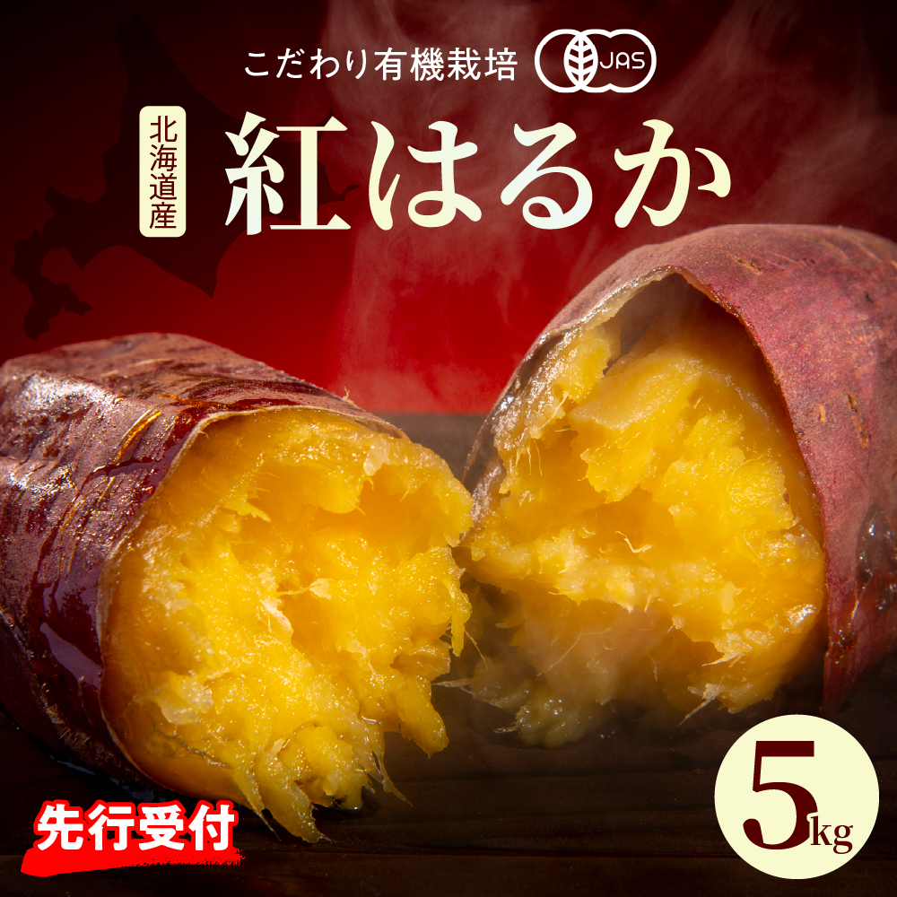 【先行予約】【2025年11月下旬より配送】熟成さつまいも　紅はるか　5kg（土付き）me049-001r-25