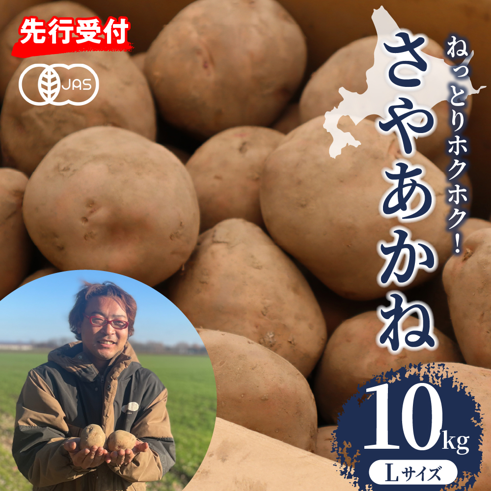 【先行予約】【2025年12月より配送】北海道十勝芽室町 さやあかね Lサイズ 10kg me049-004r-25