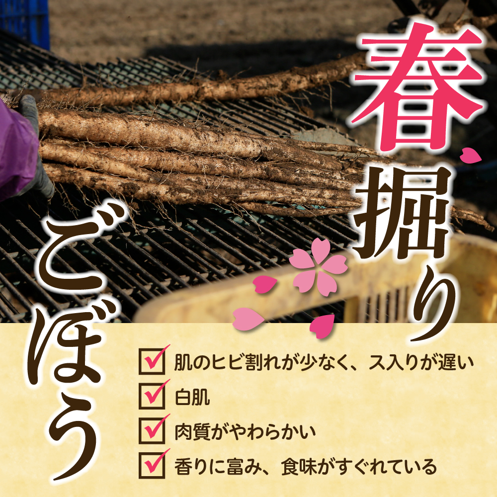 特産品写真1