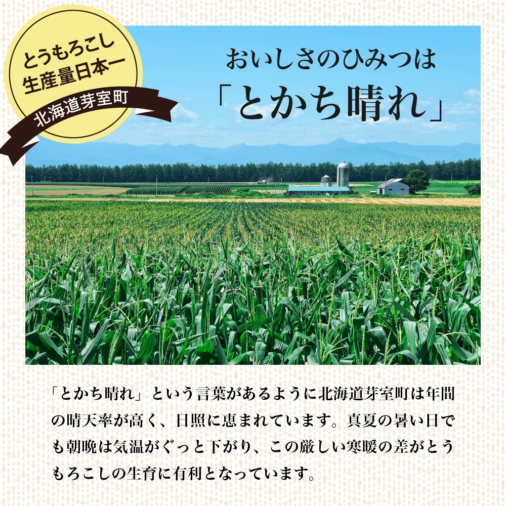 特産品写真1