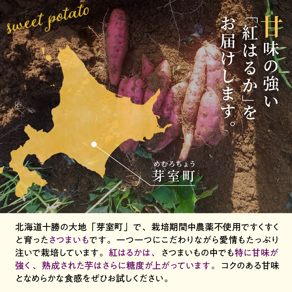 特産品写真1