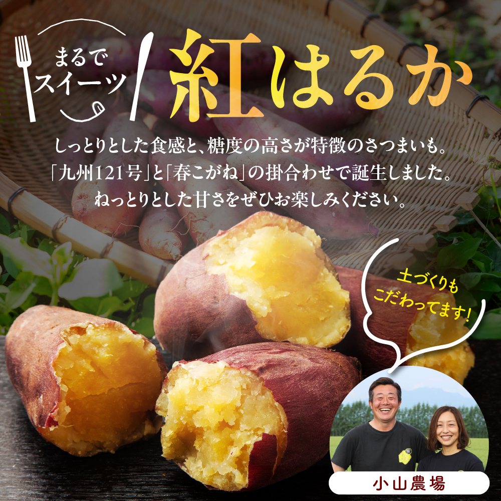 特産品写真2