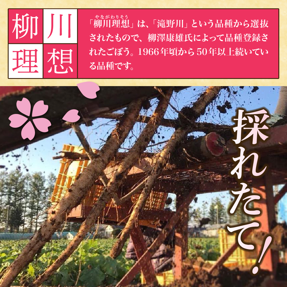 特産品写真2
