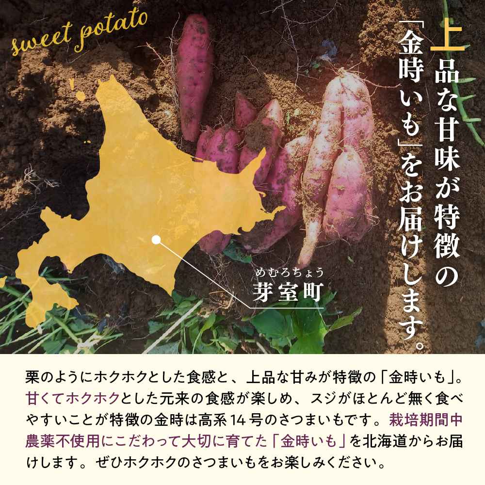 特産品写真2